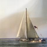 HERTA