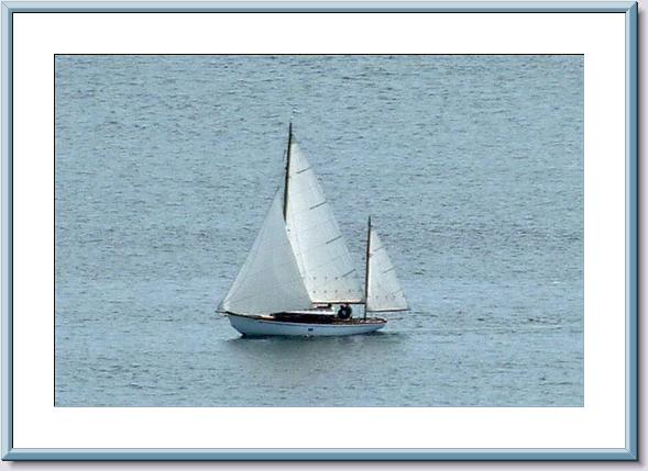 TRILLIUM ex-SYLVIA is a Taylor 25 built in 1939. TRILLIUM ex-SYLVIA is a Taylor 25 built in 1939.
