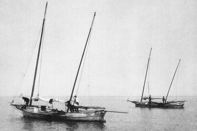Brogans on the water.