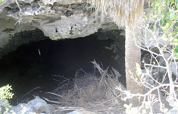 Old cistern on the Russel land.