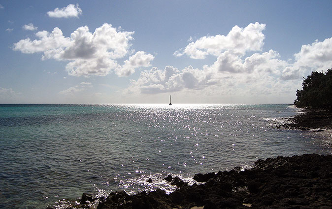 IBIS at anchor.