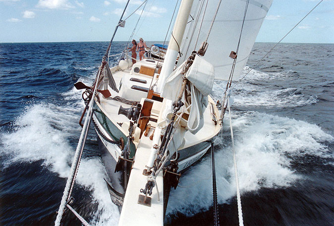 LEOPARD sailing.