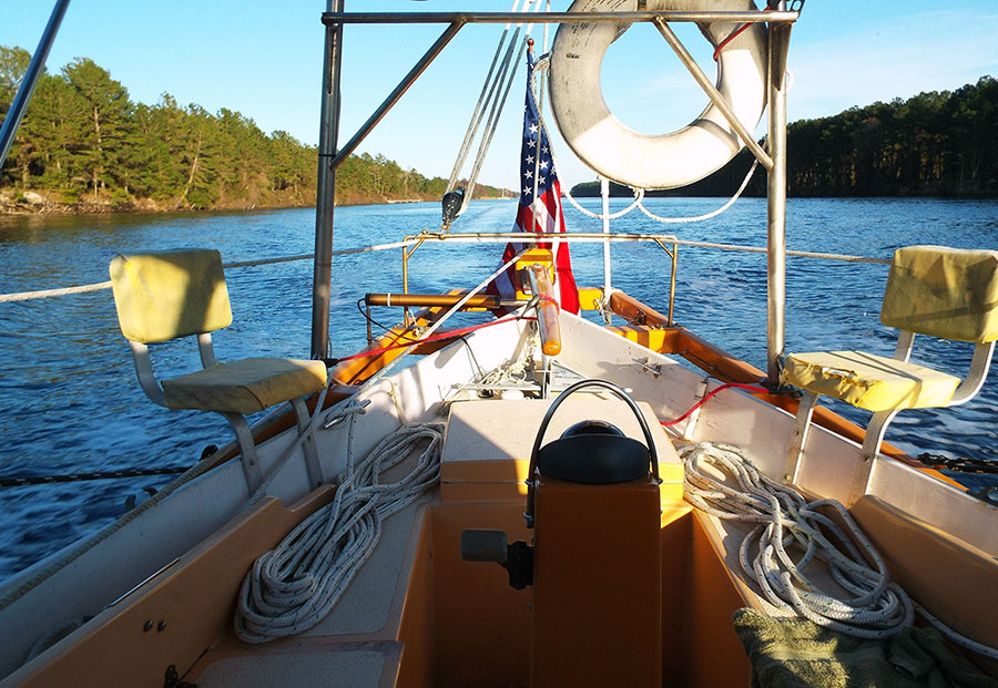 In the Pungo River.